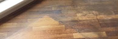 Finish off by rubbing the area with a buffing pad to make it as shiny as the rest of your floor. Why Some Cleaning Products Make Wood Floors Look Dull And Dirty