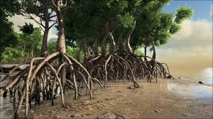 See full list on ark.fandom.com Steam Community Guide How To Cure Swamp Fever Quickly Tekna Guides
