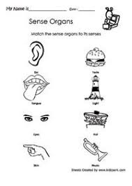 Greetings Leave Takings And Polite Expressions Basic Math Worksheets Science Worksheets Basic Math