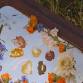 Herbalism for Skincare Workshop — The Spark of Hudson event image