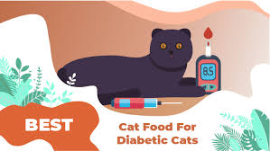 dry wet cat food for diabetic cats