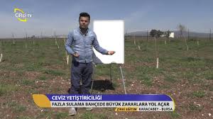 Zirai Egitim Cevizde Gubreleme Ve Sulama Programlari Youtube