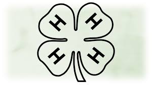 Black And White Outline Orange Clip Art Shape Clipart Large Black White 4 Leaf Clover Logo Outline For 4h Youth Development Work Make Any Color Digital Download Jpg Png Svg In 2020 Clover Logo Logo Outline Clover Leaf