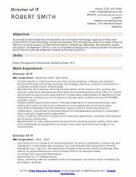 Experienced it specialist with a strong background in designing, developing, and maintaining computer systems for a diverse business clientele. Director Of It Resume Samples Qwikresume