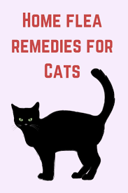 Products that contain pyrethrins, a natural insecticide, are available at pet supply stores. Need An All Natural Remedy For Your Cat S Fleas In This Article We Cover The Best Natural Flea Kill Home Remedies For Fleas Cat Fleas Treatment Flea Remedies