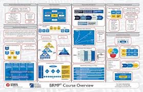 It service management and business relationship management factor heavily into stage 1, as evidenced by the csfs and kpis in the table above. Free Downloadable Resources For Brm Itil Cobit Leanit Systems Thinking Risk Management Computer Science
