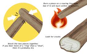 Common ash, european ash or just ash, fraxinus excelsior, is a common and widespread tree of ash trees make up a significant proportion of british hedgerows and are a key component of many. How To Season Firewood 8 Steps With Pictures Wikihow