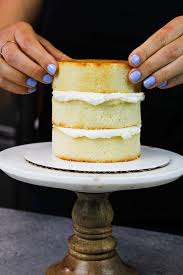 Mini Vanilla Cake Recipe Simple 4 Inch Layer Cake Chelsweets Recipe Mini Vanilla Cake Recipe Vanilla Cake Recipe Cake Recipes