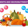 Macronutrients consist of the following three major categories of nutrients: 1