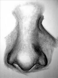 Pin By Jackie Lalouve On Pencils Colour Pencils Nose Drawing Drawings Sketch Nose