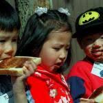 The Force of Migrants in Australia Today: Figures & Insights