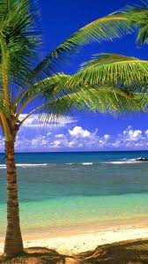 We have a massive amount of hd images that will make your computer or smartphone. 4k Ultra Hd Wallpapers Beach Wallpaper Nature Beach Backgrounds Phone Wallpapers