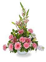 Maybe you would like to learn more about one of these? Sympathy Flowers In North Lima Ohio Oh Funeral Arrangements Delivery To North Lima