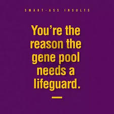 Learn vocabulary, terms and more with flashcards, games and other study tools. 19 Best Roasts Funny Roasts 19 Best Insults For Friends