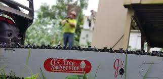 It's the who, what, where and when of lincoln park. Js Tree Service Home Facebook