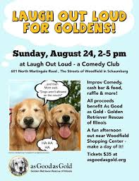 She loves to cuddle and go for walks. Golden Retriever Rescue Group Hosts Comedy Club Event