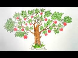 If you want to use this image on holiday posters, business flyers, birthday invitations, business coupons, greeting cards, vlog covers, youtube. How To Draw Apple Tree Step By Step Very Easy Youtube Apple Tree Drawing Tree Drawing Drawing Apple