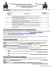 Charles darwin natural selection worksheets answers, theory of evolution worksheet answer key chapter 15 and. 1018 Darwin Evolution And Natural Selection Virtual Lab Activity Student Handout Docx Name Period Darwin Evolution And Natural Selection Virtual Lab Course Hero