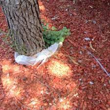 We will protect your home or office from pests and termites and have your lawn looking great. Pro Tech Pest And Lawn Management 24 Photos Pest Control 2150 Trawood Dr El Paso Tx Phone Number
