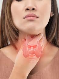 Vincent Raja car: అన్నాడీఎంకే బహిష్కృత నేత కారును తగలబెట్టిన దుండగులు..  CCTV దృశ్యాలు