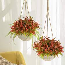 However, certain people and events call for floral sending someone to an exotic island in the caribbean or some other tropic region is a fantastic gesture, if you can afford it. Buy 6pcs Artificial Uv Resistant Plants Outdoor Fake Tropical Flowers Morning Glory Shrubs Greenery Fall Leaves Foliage Plastic Plants Farmhouse Decor For Hanging Planter Garden Patio Sidewalk Decoration Online In Indonesia B081pvqyvt