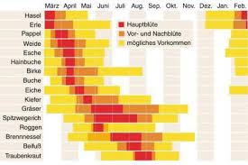 Heuschnupfen Graserallergie Pollen Kalender Symptome Infos Welt Pollenkalender Heuschnupfen Spitzwegerich