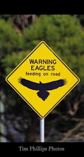 Australia Road Signs Wedge Tailed Eagle Australian Road Signs Road Signs Funny Road Signs