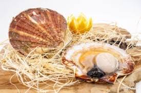 Une coquille savoureuse qui met de l'avant toute la saveur des. Coquille Saint Jacques En Coque Dieppe Difalux Namur