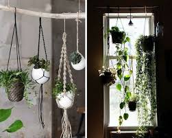 Plantes Grasses Suspendues Jpg 600 480 Plantes Suspendues Plante Chambre Decoration Plante