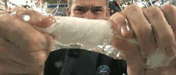 Revoir votre position pour faire caca ! Des Couches Absorbantes Aux Etoiles Filantes L Histoire Etonnante Du Caca Dans L Espace