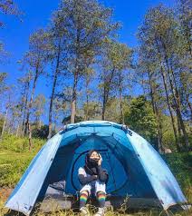 Gunung ungaran mempunyai kawasan hutan dipterokarp bukit. Gunung Ungaran Pemilik Puncak Tertinggi Di Semarang Gunung Semarang Tertinggi
