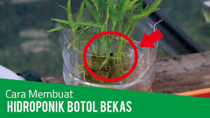 Cara membuat kerajinan tangan dari botol plastik bekas berbentuk dompet mini Cara Menanam Hidroponik Dengan Botol Bekas Youtube