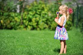 To get rid of pests, you might think about harmful however, this is not a great idea because chemical pest control kills everything, even the safe organisms. Organic Fertilization All Natural Pest Control Services We Make Going Green Easy Call Us 817 496 5050