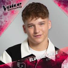 The Voice Of Germany: albums, songs, concerts