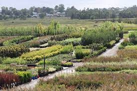 Check spelling or type a new query. Camden Nurseries