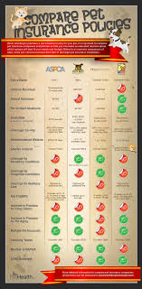 Compare Pet Insurance Policies Infographic Pet Insurance Pet Health Insurance Pet Health