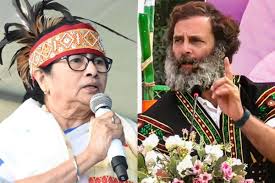 Make Mamata Banerjee the PM candidate not Rahul Gandhi