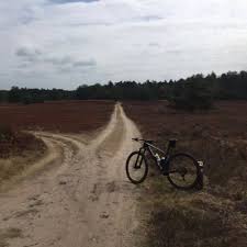 Erwin Albers (@erwin_albers)