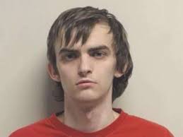 Driver suspected of deliberately hitting girl