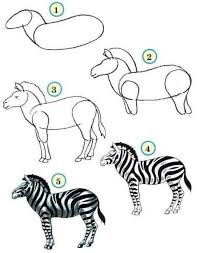 Zebra Tekenen Dieren Tekenen Zebra Tekening Vogels Tekenen