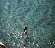 Druhá kočka je lenka neužil stárková. Eva Decastelo Seznam Cz