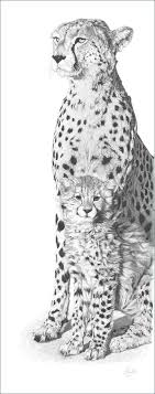 Warren Alston (warrenalston)