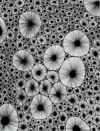 Abstrait Art Dessin Noir Et Blanc Crayon Admirable Oeuvre Noir Et Blanc Dessin Artistique Pens Lino Prin Trendy Wall Art Inspirational Wall Art Wall Drawing