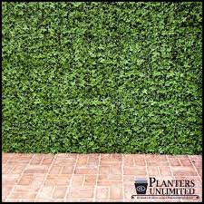 Outdoor Fake Ivy Green Walls Artificial Plants Unlimited Artificial Green Wall Artificial Plants Outdoor Small Artificial Plants
