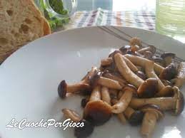 Come Cucinare I Funghi Pioppini In Padella Funghi Ricette Padella