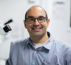 Third International RTG Symposium Genes, Environment and Inflammation