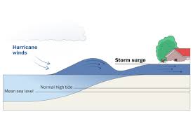 نتیجه جستجوی لغت [surge] در گوگل