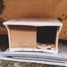 Wimpy cat house on twitter 6 kedici dergisi istanbul sokagin kedisi senligi 13 ocak pazar kadikoy fenerbahce parki nda duzenleniyor kedi evi yapimi icin herkesi bekliyoruz kedisozluk kedicidergisi kedici. Kedi Evleri Icin 26 Fikir Kedi Evi Kedi Mobilya