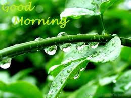 We did not find results for: 81 Good Morning Nature