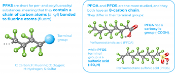 Assessing pfas migration potential from food contact applications. Man Made Chemicals Pfas Surround Us And You Did Not Even Know About Their Toxic Effect What Zebrafish Can Tell Us Bionomous